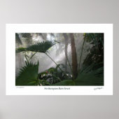 Northampton Rain Forest II Poster (Voorkant)