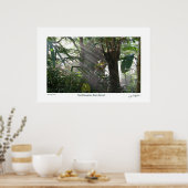 Northampton Rain Forest III Poster (Keuken)
