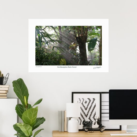 Northampton Rain Forest III Poster (Thuiskantoor)