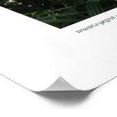 Northampton Rain Forest III Poster (Hoek)