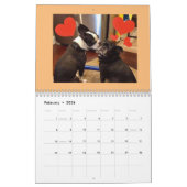 Northeast Boston Terrier Rescue 2022-kalender Kalender (Feb 2026)