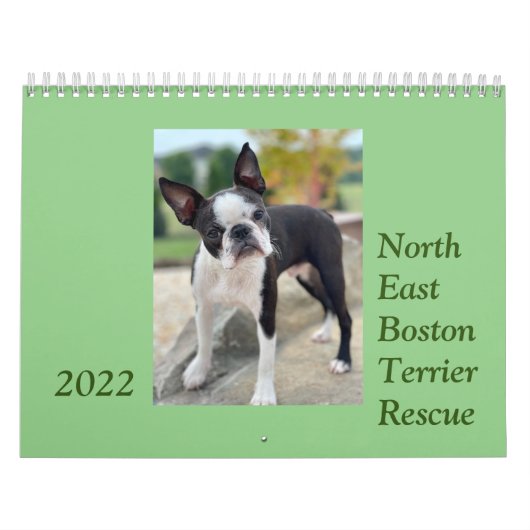 Northeast Boston Terrier Rescue 2022-kalender Kalender (Hoes)