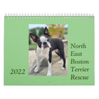 Northeast Boston Terrier Rescue 2022-kalender Kalender