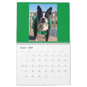 Northeast Boston Terrier Rescue 2022-kalender Kalender (Mar 2027)