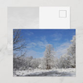 Northeast Winter Scene Briefkaart (Voorkant / Achterkant)