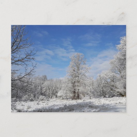 Northeast Winter Scene Briefkaart (Voorkant)