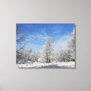Northeast Winter Scene Canvas Afdruk