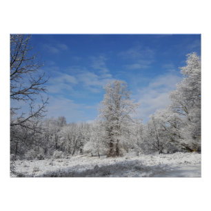 Northeast Winter Scene Perfect Poster
