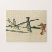 Norther Parula van de Amerikaanse vogels van Audub Legpuzzel (Horizontaal)