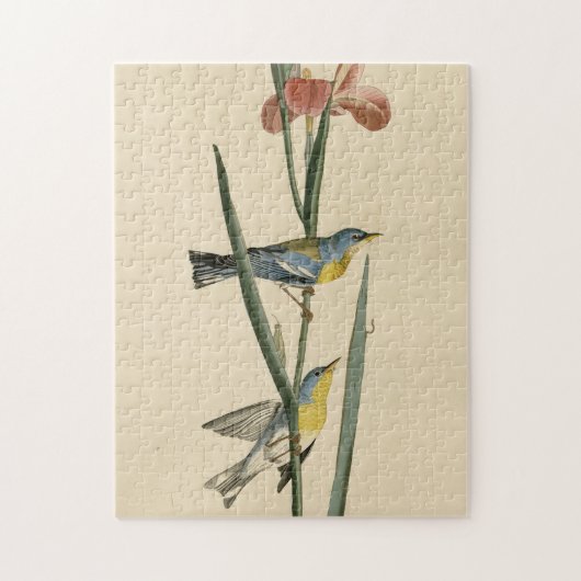Norther Parula van de Amerikaanse vogels van Audub Legpuzzel (Verticaal)