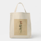 Norther Parula van de Amerikaanse vogels van Audub Tote Bag (Achterkant)