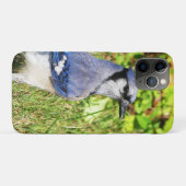 Northern Blue Jay Case-Mate iPhone Case (Achterkant (horizontaal))