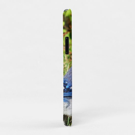 Northern Blue Jay Case-Mate iPhone Case (Achterkant/rechts)