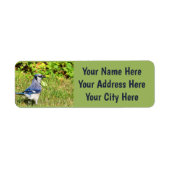 Northern Blue Jay Etiket (Voorkant)