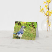 Northern Blue Jay Kaart (Gele Bloem)