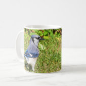 Northern Blue Jay Koffiemok (Voorkant links)