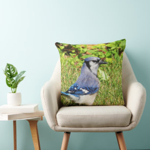 Northern Blue Jay Kussen