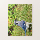 Northern Blue Jay Legpuzzel (Verticaal)