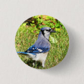 Northern Blue Jay Ronde Button 3,2 Cm (Voorkant)