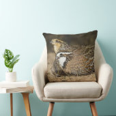 Northern Bobwhite quail babies at gewicht for drin Kussen (Stoel)