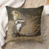 Northern Bobwhite quail babies at gewicht for drin Kussen (Deken)