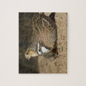 Northern Bobwhite quail babies at gewicht for drin Legpuzzel (Verticaal)