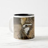 Northern Bobwhite quail babies at gewicht for drin Tweekleurige Koffiemok (Voorkant links)