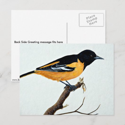 Northern Briefkaart (Voorkant / Achterkant)