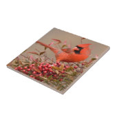 Northern Cardinal in Nandina Heavenly Bamboo Tegeltje (Zijkant)