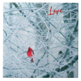 Northern Cardinal on Snowy Branches Tegeltje