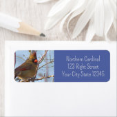 Northern Cardinal Photo-label Etiket (Insitu)