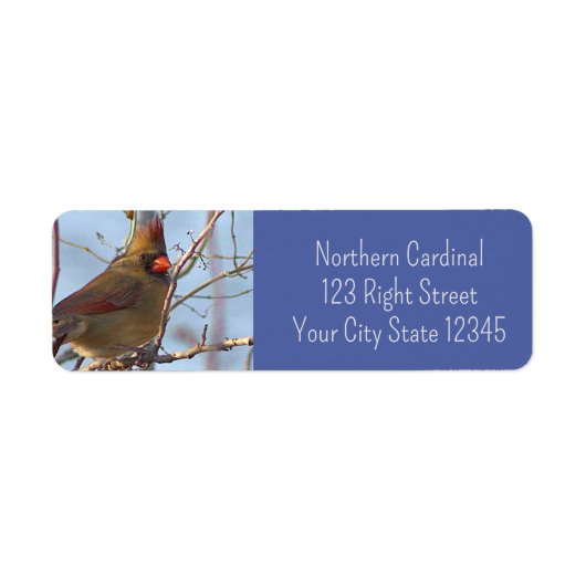 Northern Cardinal Photo-label Etiket (Voorkant)