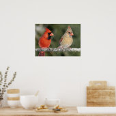 Northern Cardinal Photograph Poster (Keuken)