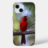 Northern Cardinal Telefoonhoesje Case-Mate iPhone Case (Achterkant)