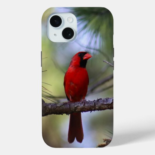 Northern Cardinal Telefoonhoesje Case-Mate iPhone Case (Achterkant)