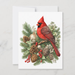 Northern Cardinal Winter Songbirds Collectie Notitiekaartje