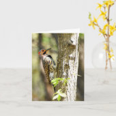 Northern Flicker #1 - Blank Note Card Kaart (Gele Bloem)