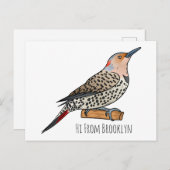Northern flicker bird cartoon illustration briefkaart (Voorkant / Achterkant)