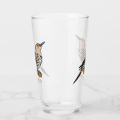 Northern flicker bird cartoon illustration glas (Links)