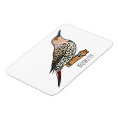 Northern flicker bird cartoon illustration magneet (Linkerzijde)