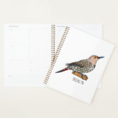 Northern flicker bird cartoon illustration planner (Display)