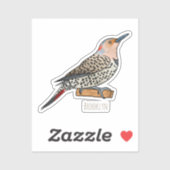 Northern flicker bird cartoon illustration sticker (Vel)