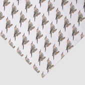 Northern flicker bird cartoon illustration tissuepapier (Detail)