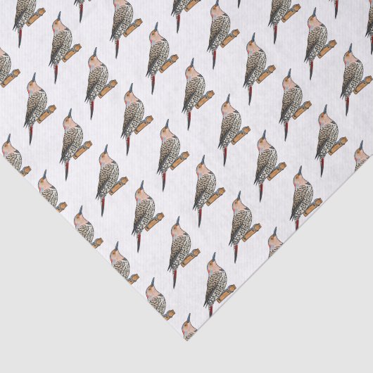 Northern flicker bird cartoon illustration tissuepapier (Detail)