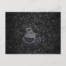 Northern Flicker Woodpecker v1 - Yard Critters  Briefkaart