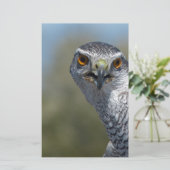 Northern Gohawk close up Briefpapier (Staand voorkant)