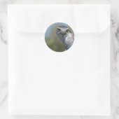 Northern Gohawk close up Ronde Sticker (Tas)
