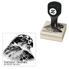 Northern Goshawk Rubberstempel