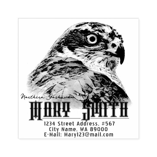 Northern Goshawk Rubberstempel (Afrduk)