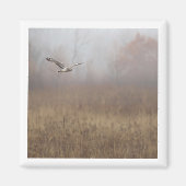 Northern Harrier 2x2 magneet (Voorkant)
